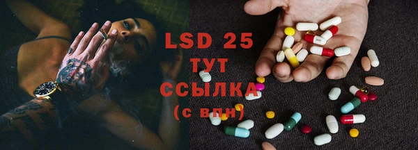 PSILOCYBIN Бугульма